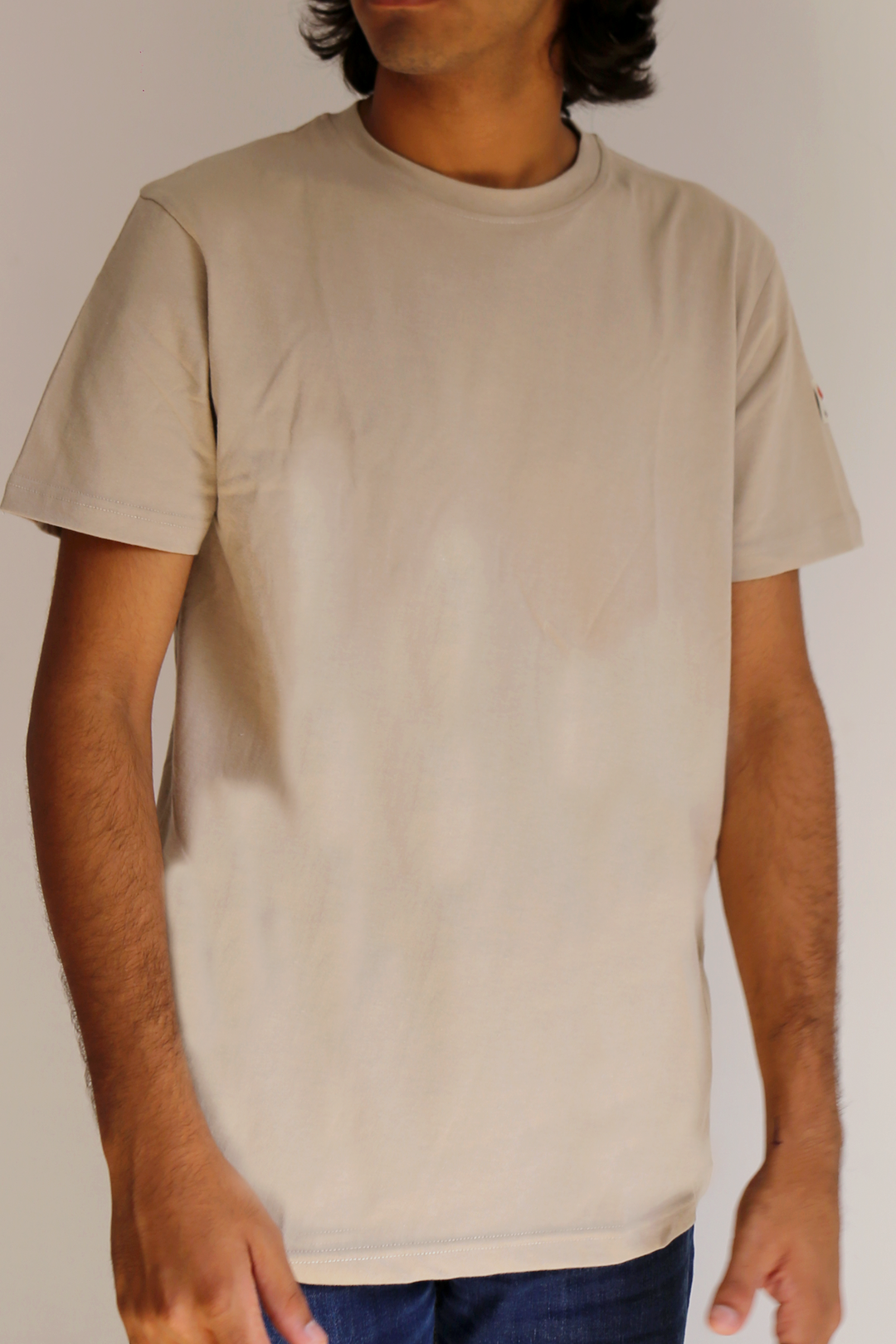 Men’s Regular Fit T-shirt in Khaki
